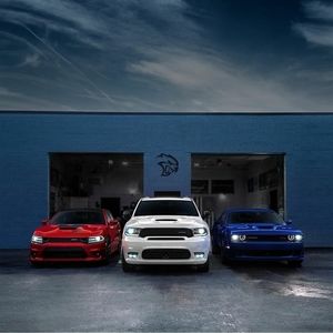 Meet your Posher, Bernard